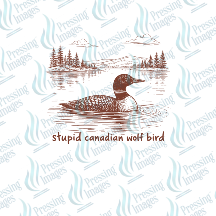 UVD 7210 SCWB — application example — Pressing Images Canada