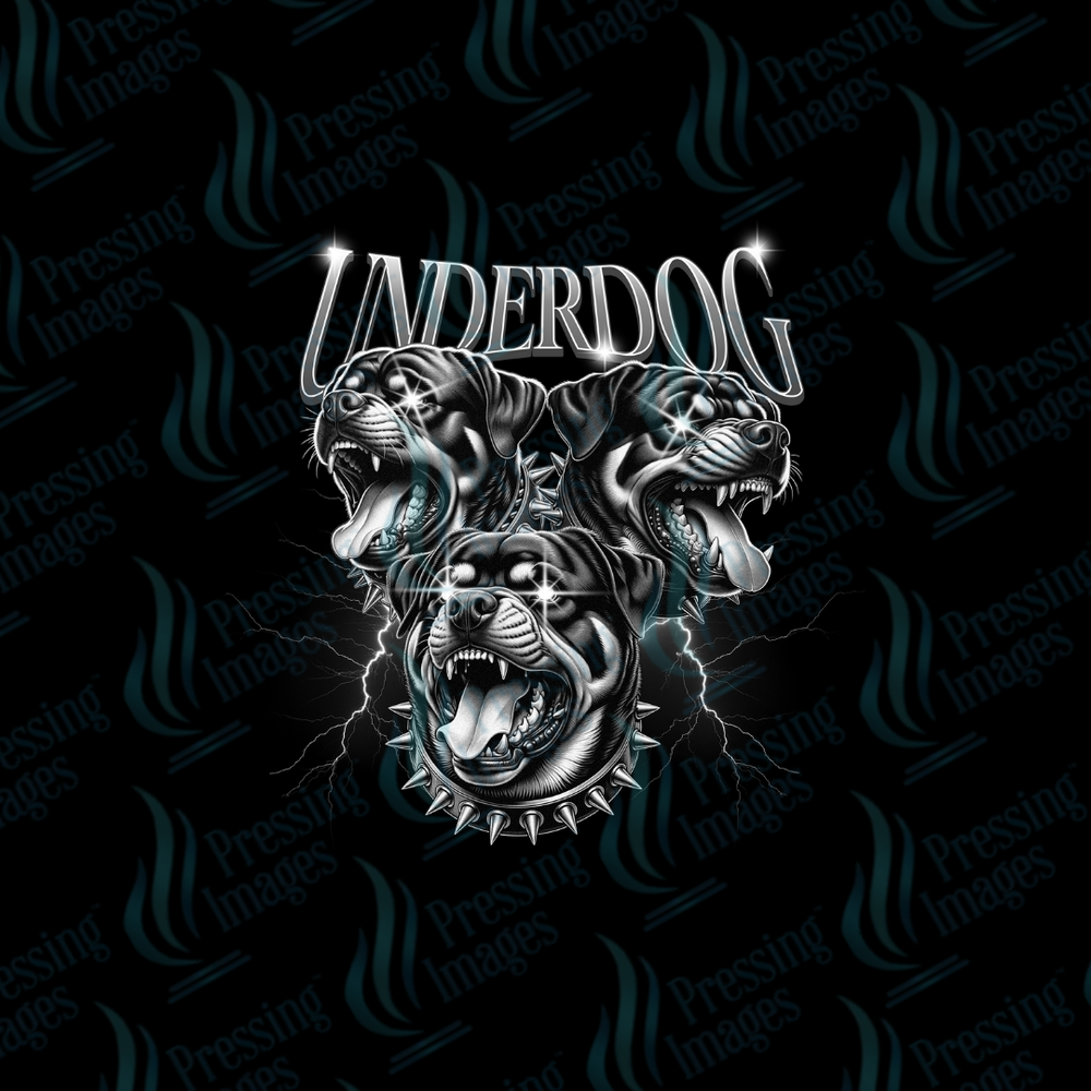 UVD 7215 Underdog — detail view — Pressing Images Canada