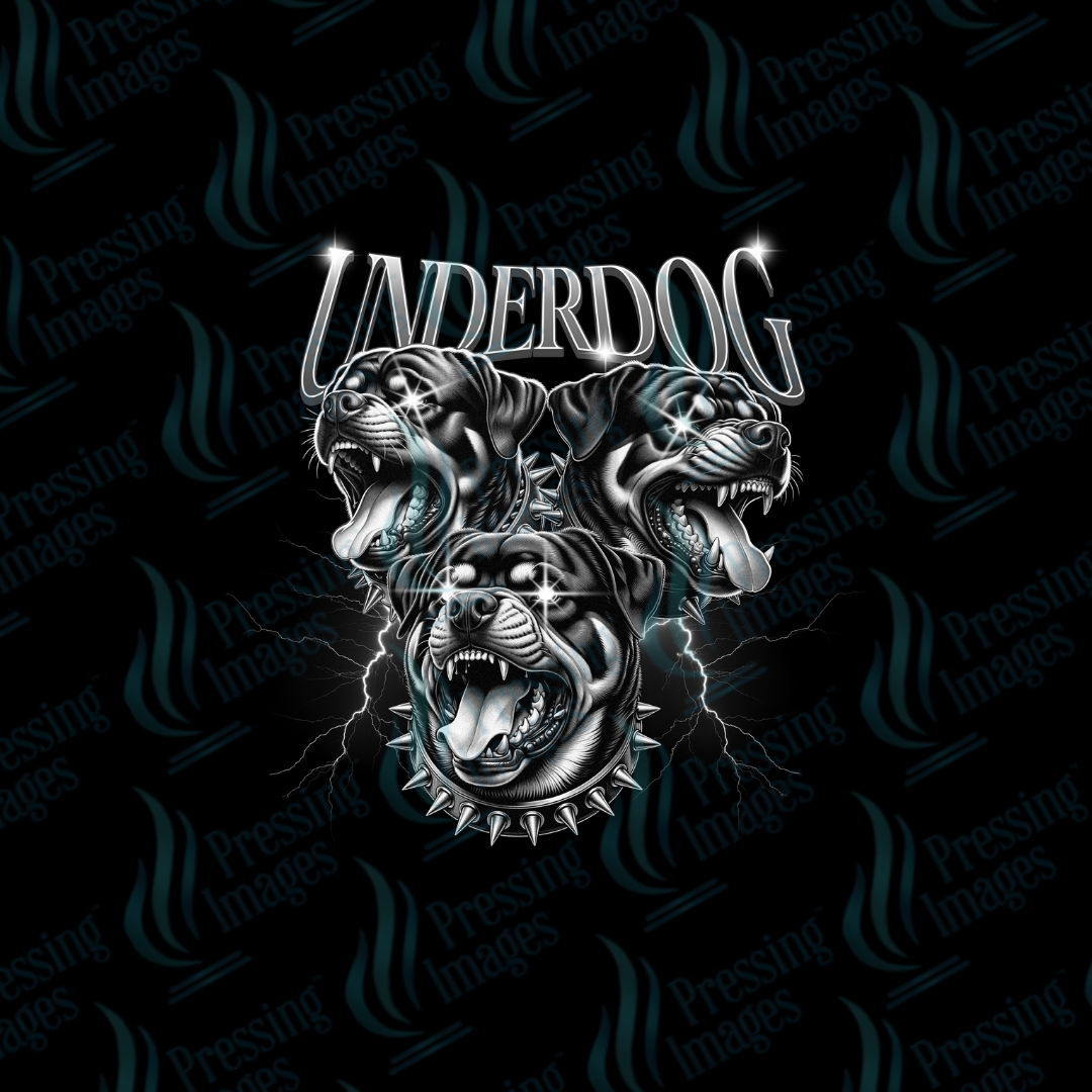 UVD 7215 Underdog — detail view — Pressing Images Canada