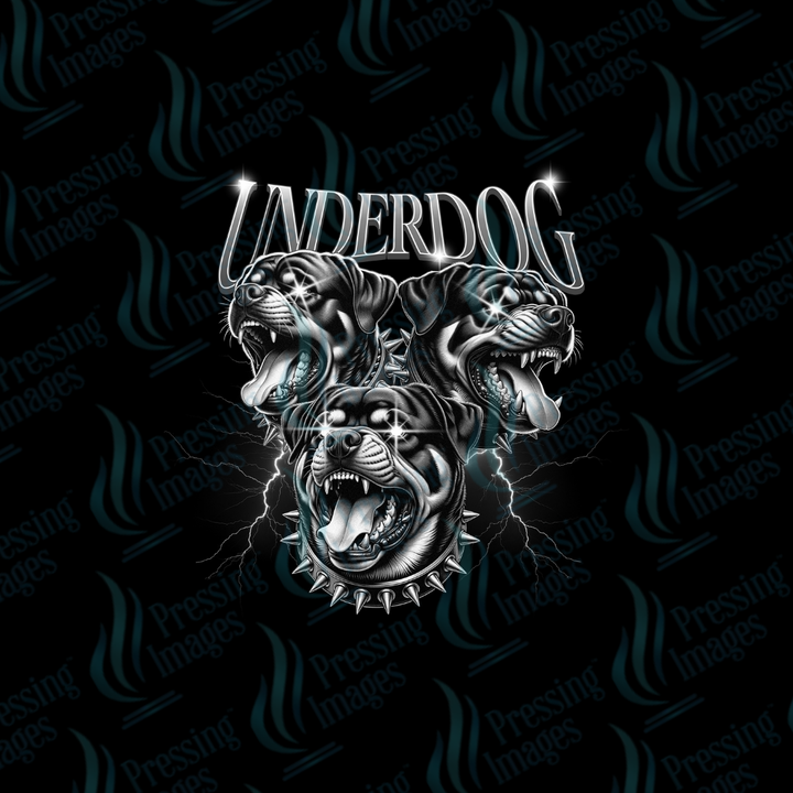 UVD 7215 Underdog — detail view — Pressing Images Canada