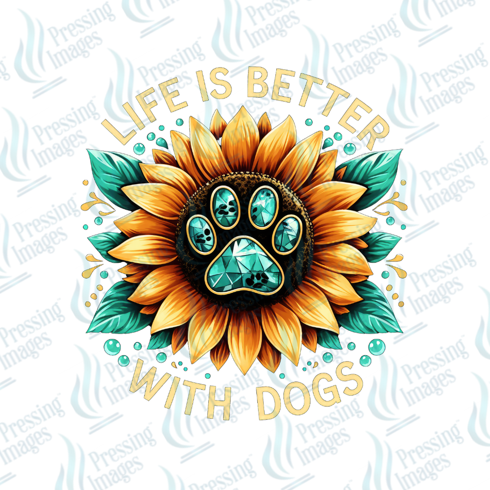 UVD 7237 Sunflower Dogs — detail view — Pressing Images Canada