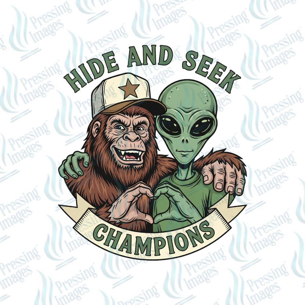 UVD 7251 Hide and Seek — detail view — Pressing Images Canada