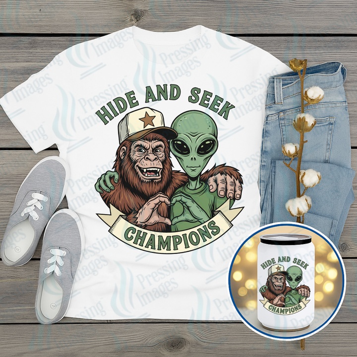 DTF 7251  Hide and Seek