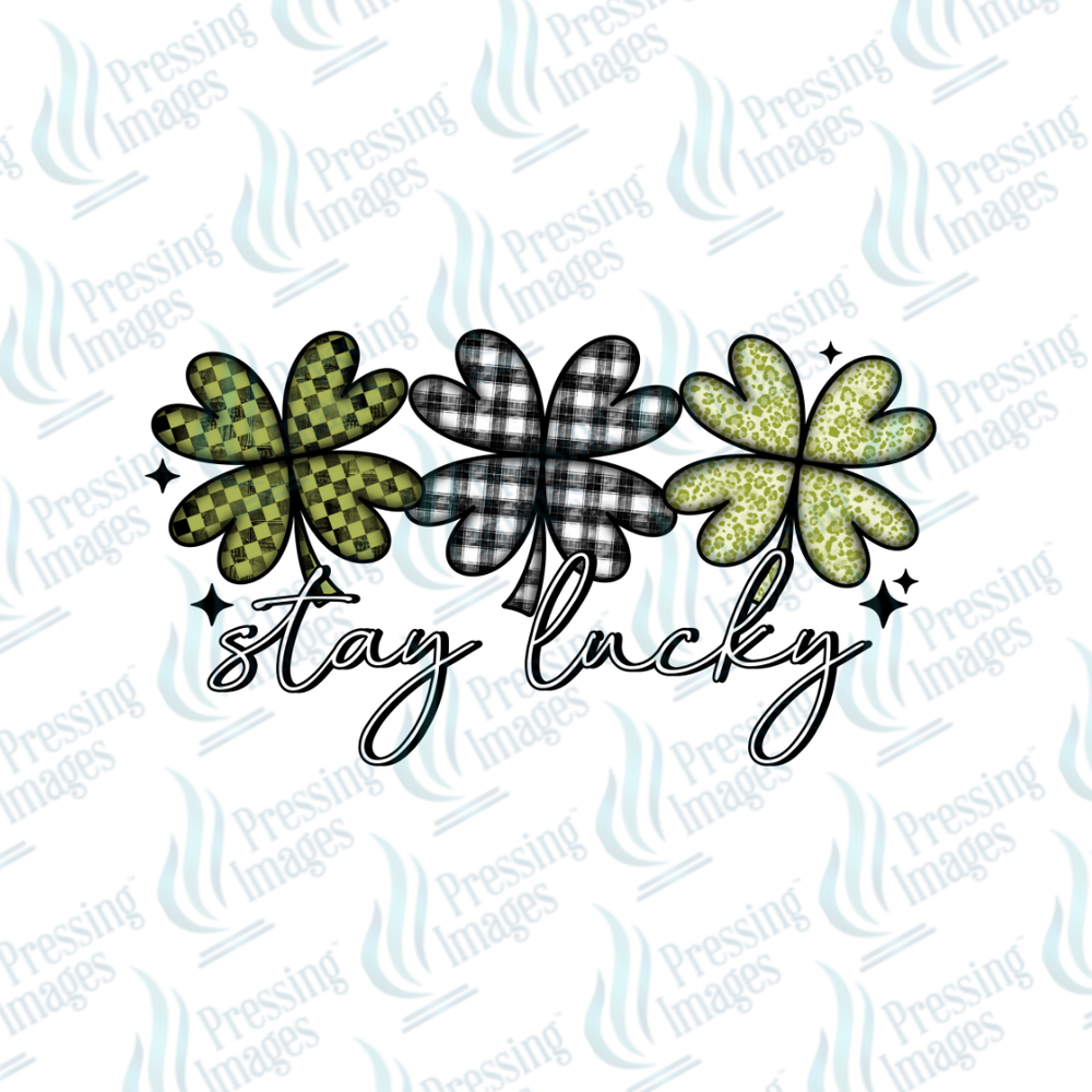 UVD 7266 Stay Lucky — detail view — Pressing Images Canada