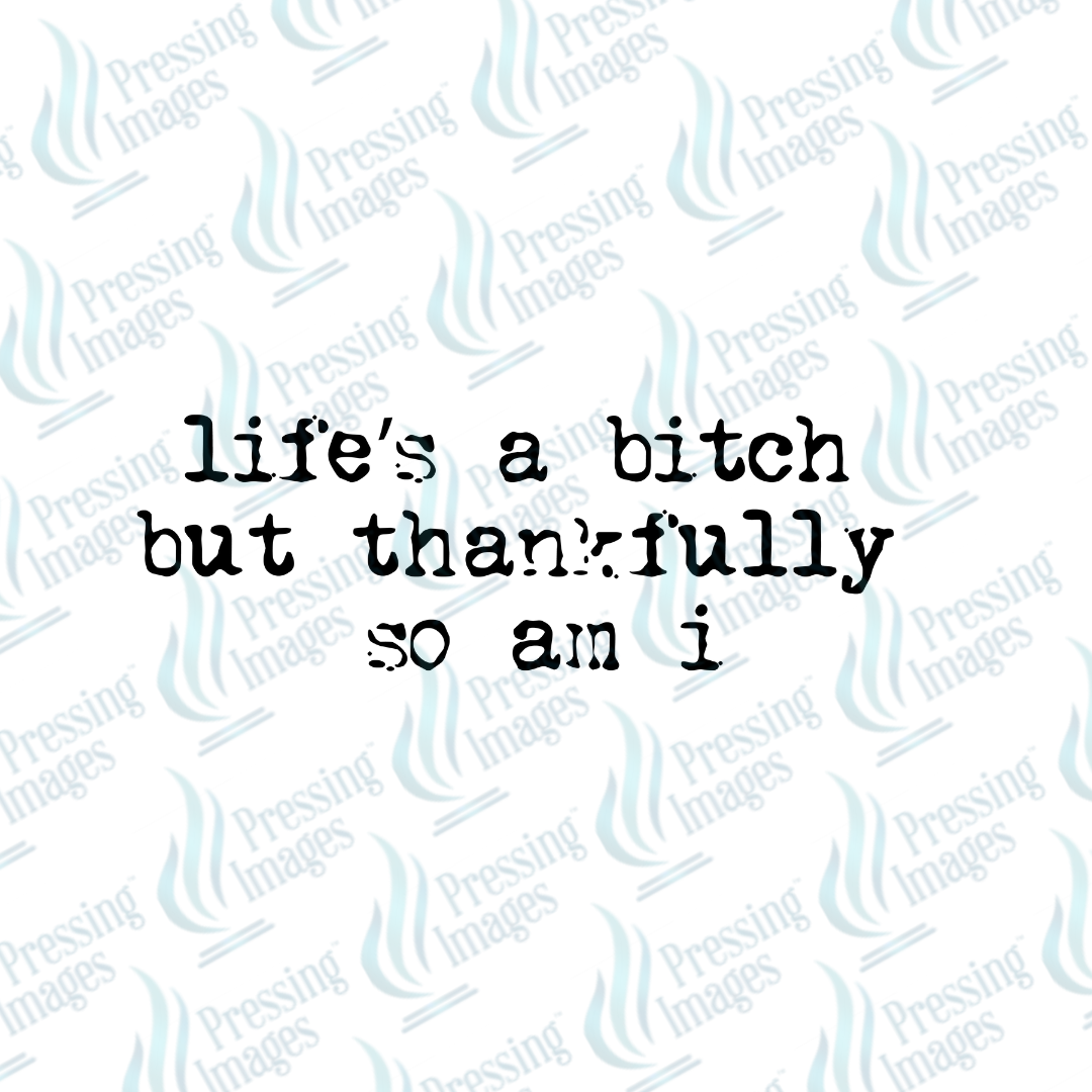 DTF 7302 Life's A Bitch