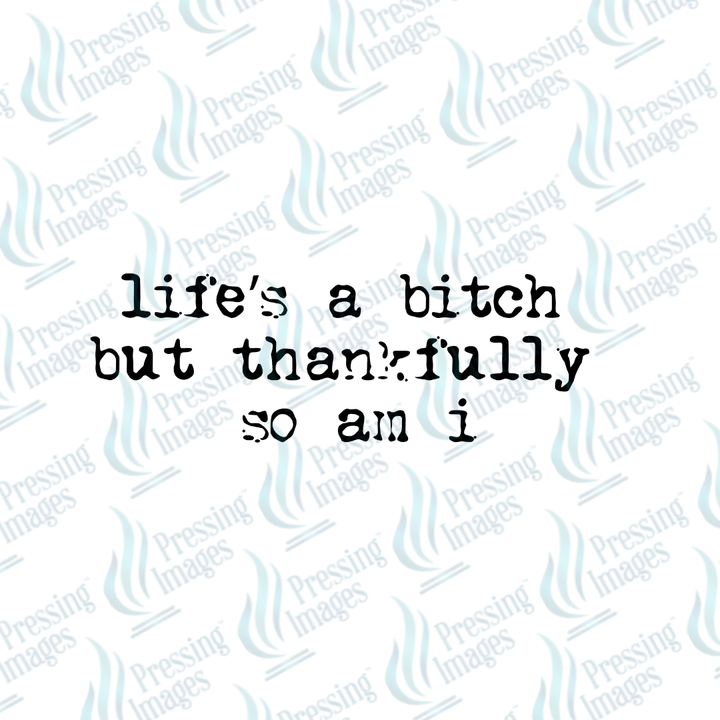 DTF 7302 Life's A Bitch