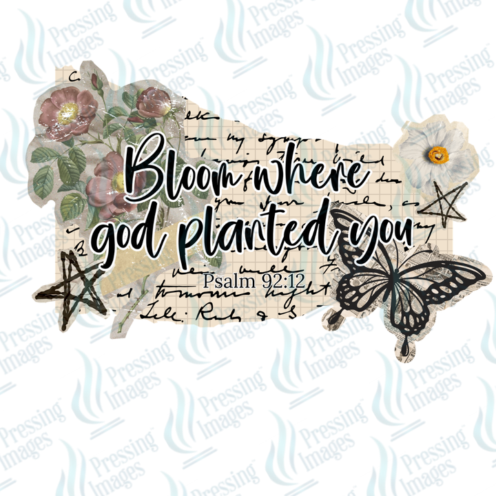 DTF 7307 Bloom Where God Planted You — detail view — Pressing Images Canada