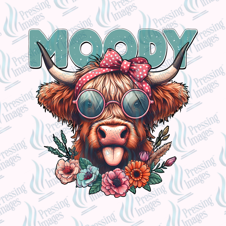 UVD 7370 Moody — detail view — Pressing Images Canada