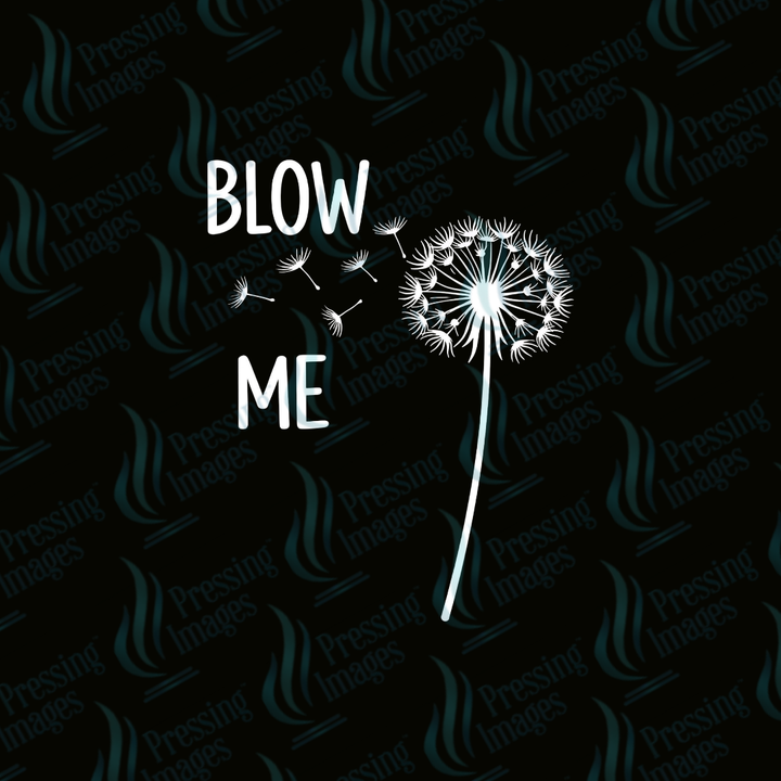 UVD 7378 Blow Me — detail view — Pressing Images Canada
