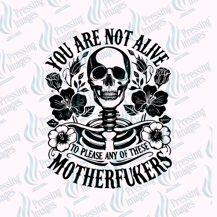 UVD 7389 You Are Not Alive — size reference — Pressing Images Canada