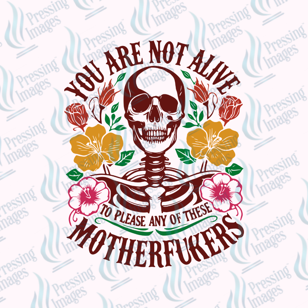 UVD 7389 You Are Not Alive — application example — Pressing Images Canada
