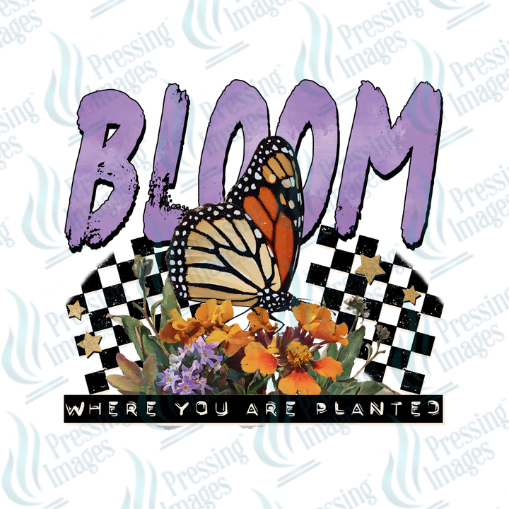 DTF 7400 Bloom — detail view — Pressing Images Canada