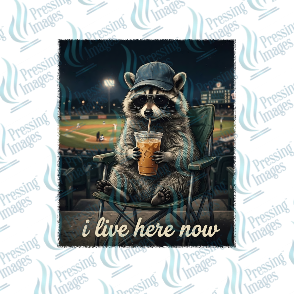 DTF 7473 I Live Here Now — detail view — Pressing Images Canada