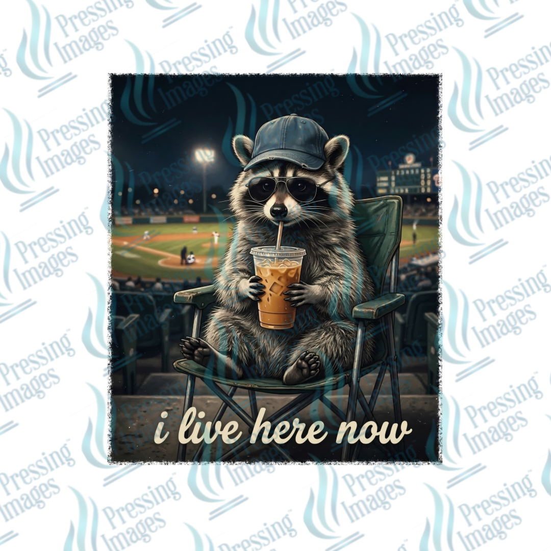 UVD 7473 I Live Here Now — detail view — Pressing Images Canada