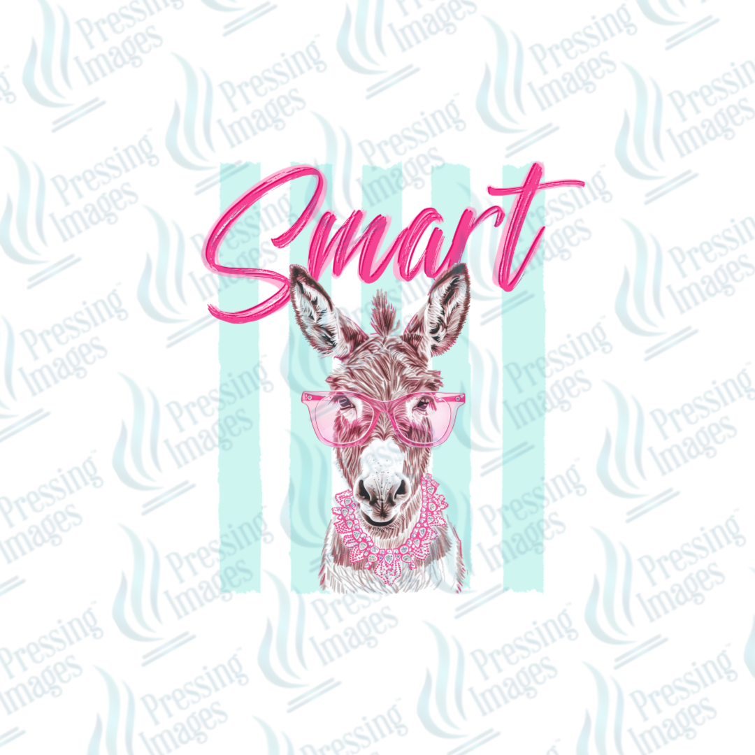 UVD 7529 Smart Ass — detail view — Pressing Images Canada