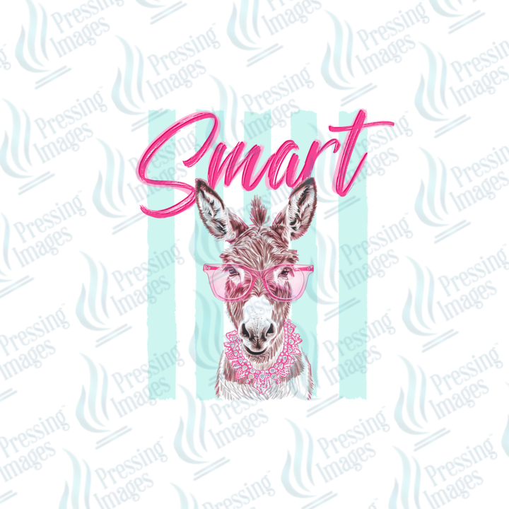 UVD 7529 Smart Ass — detail view — Pressing Images Canada