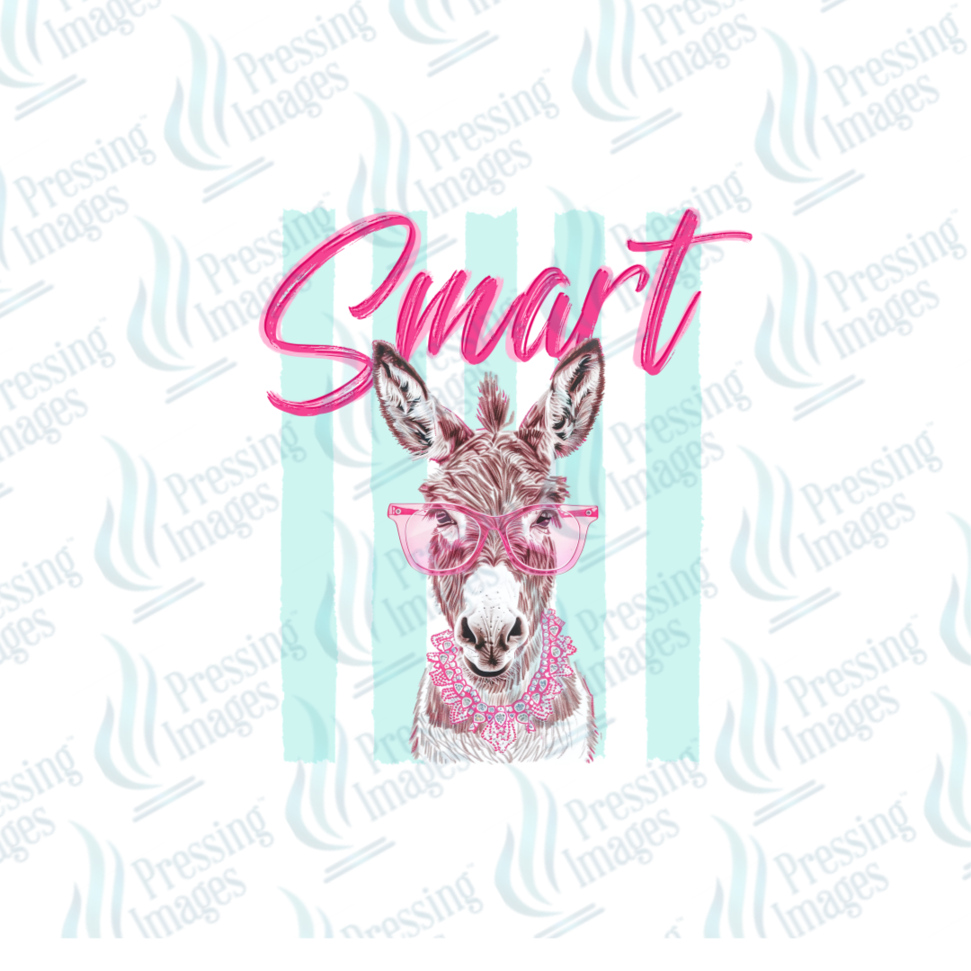 DTF 7529 Smart Ass — detail view — Pressing Images Canada