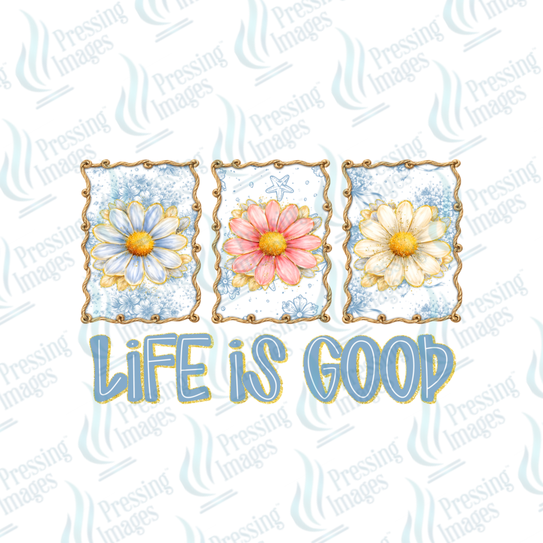 DTF 7537 Life Is Good