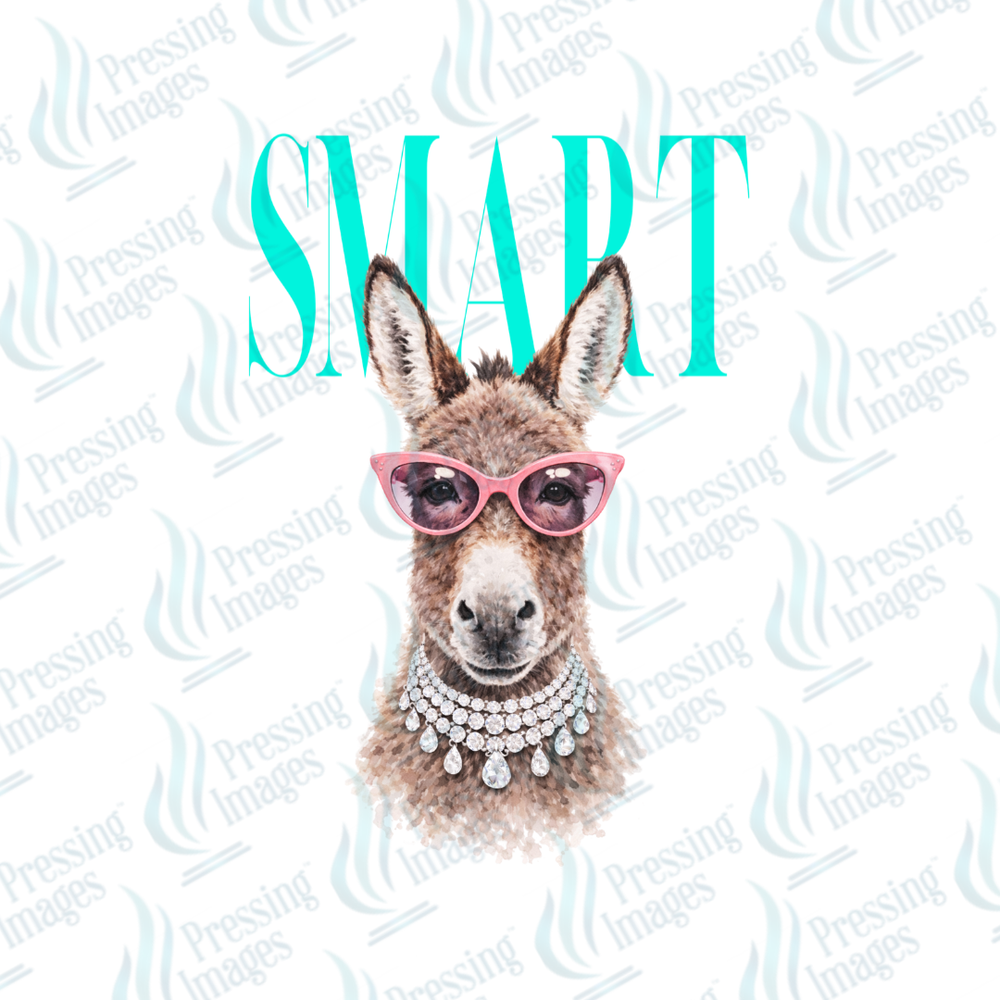 DTF 7541 Smart — detail view — Pressing Images Canada