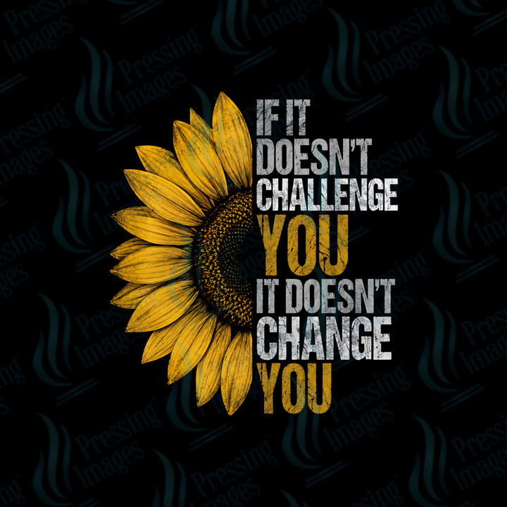 If it Doesn't Challenge You DTF Transfer | Pressing Images (DTF 7584)
