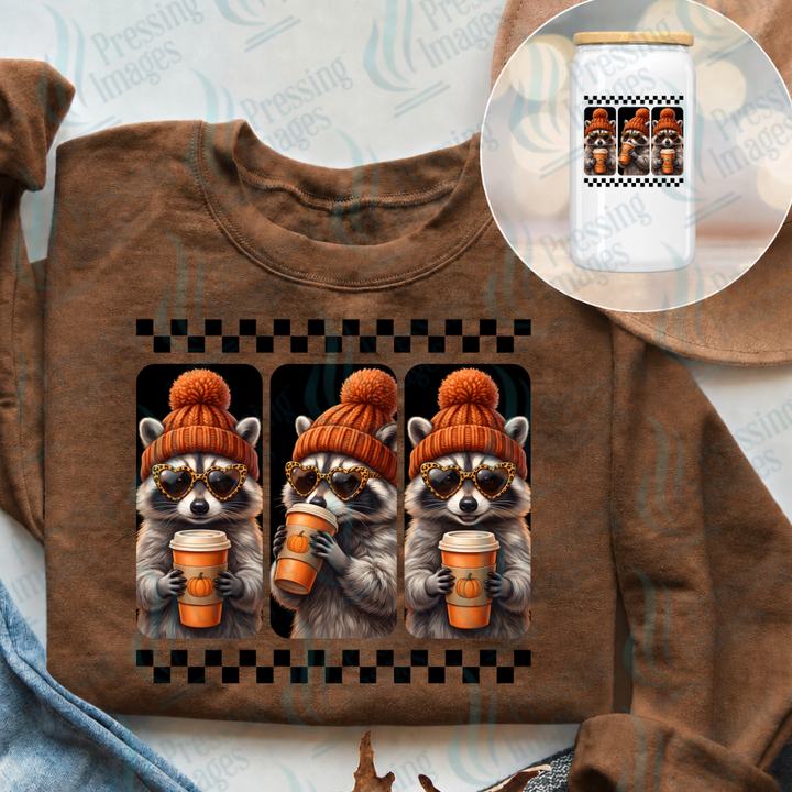UVD 7641 Fall Racoons