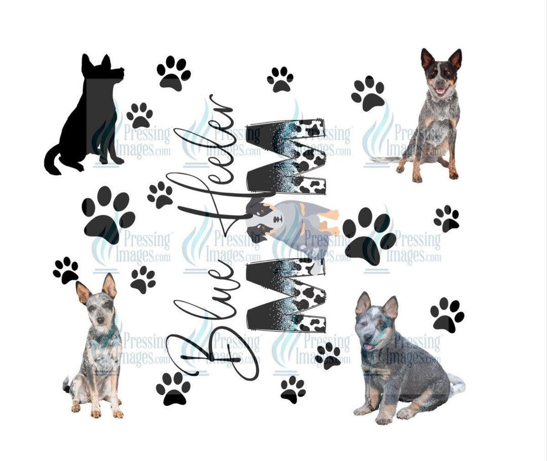 4665 blue heeler mom.