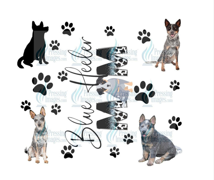 4665 blue heeler mom.