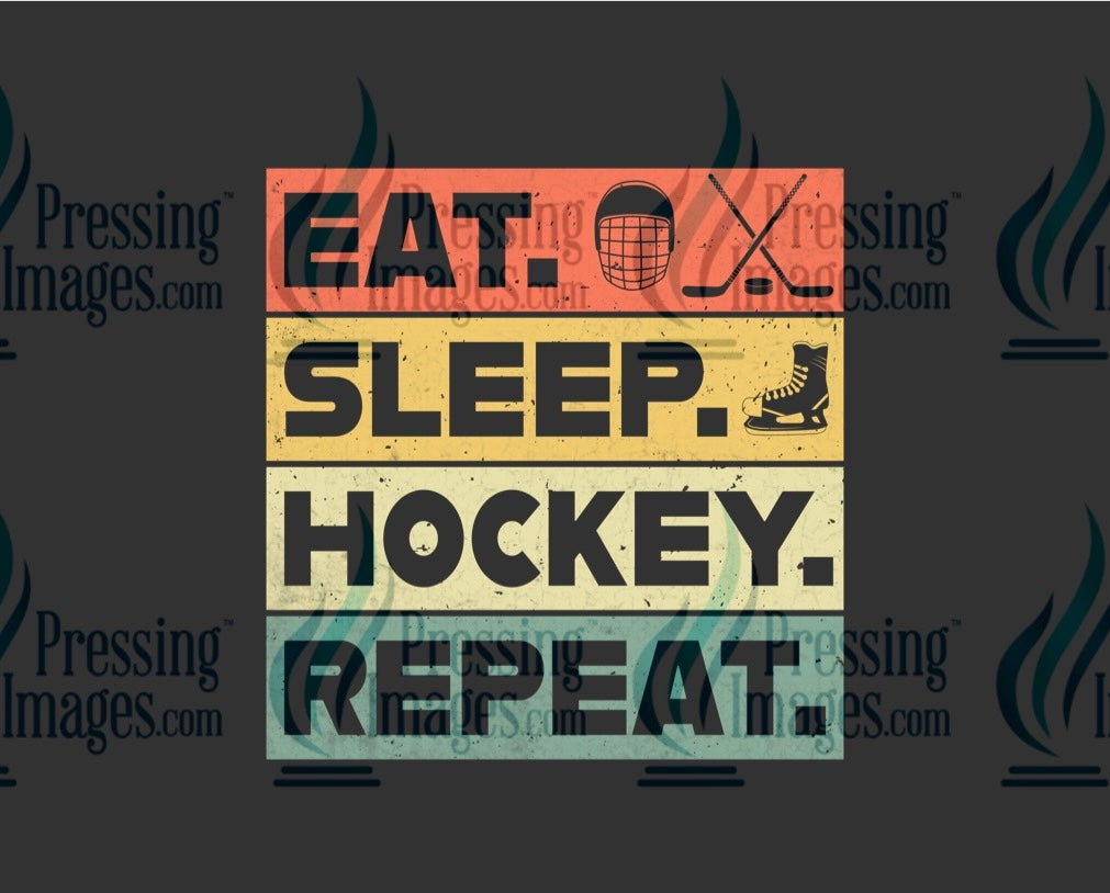 DTF: 1079  Eat sleep hockey repeat