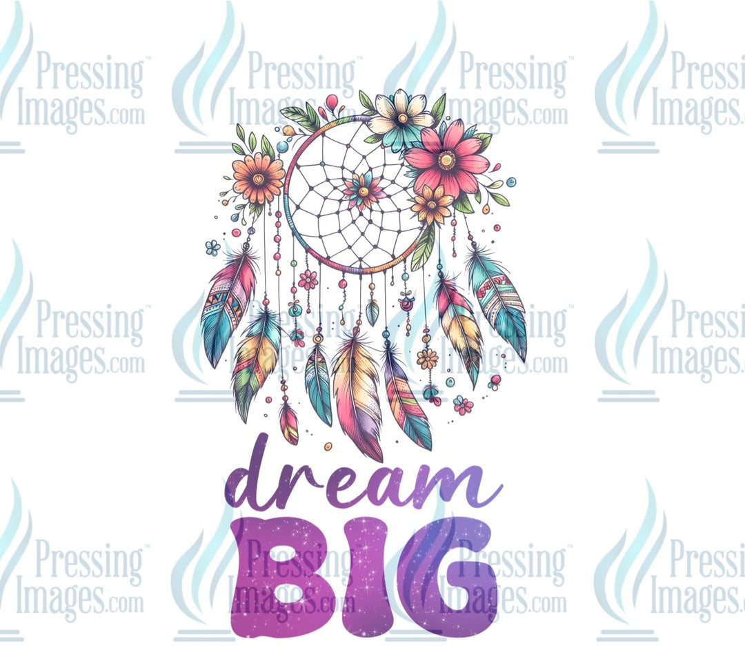 DTF: 944 Dream big dream catcher