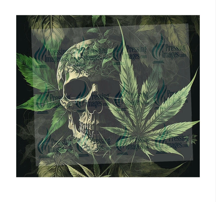 4936 Skull tumbler Wrap.