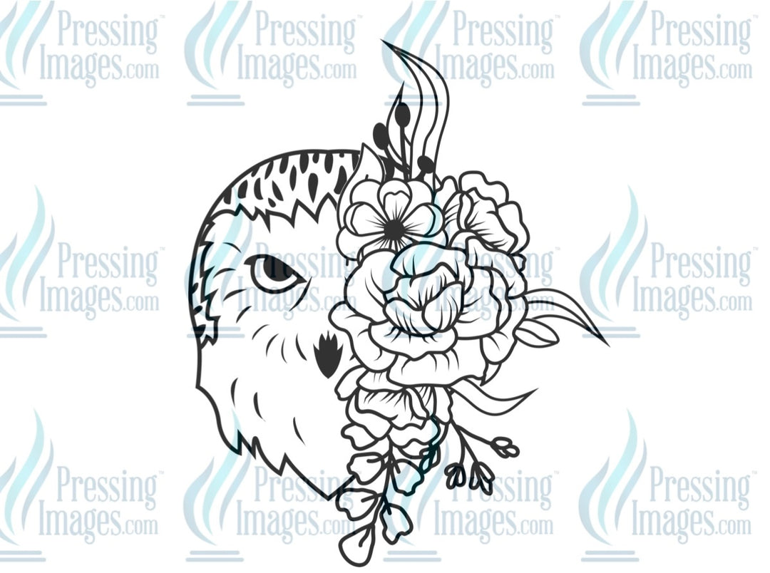 DTF: 1013 Owl/ flowers