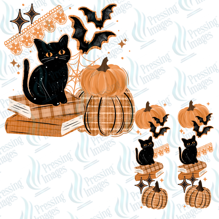 Black Cat | Pressing Images (#7663)