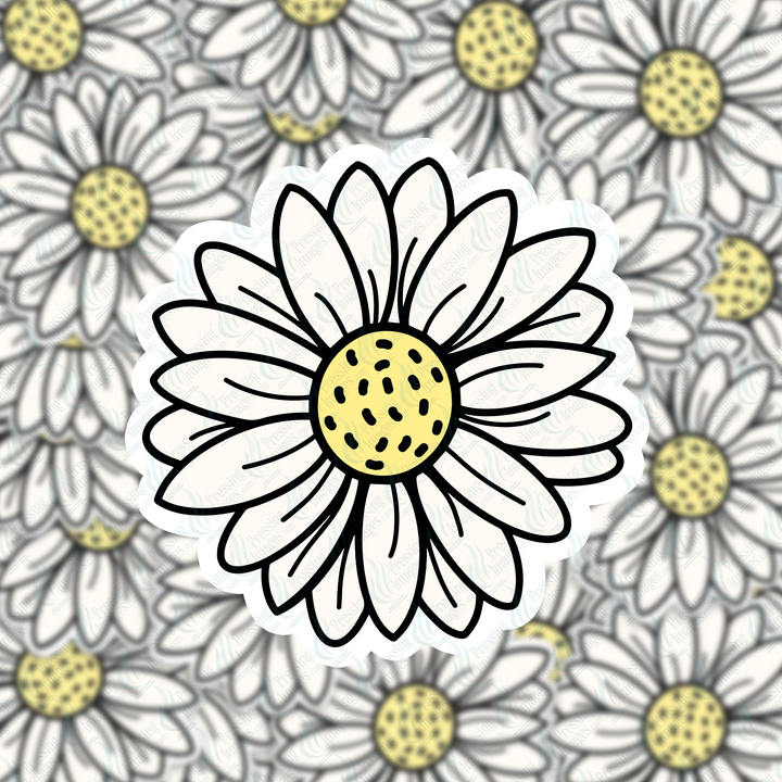 PI012 Daisy SVG & Acrylic Blank