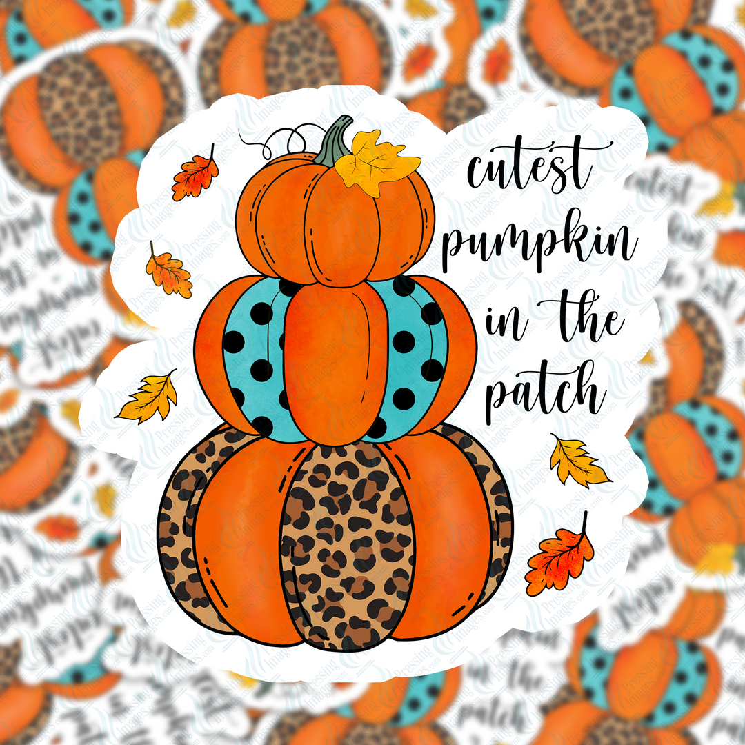PI 1057 Cutest Pumpkin In the Patch Decal & Acrylic Blank