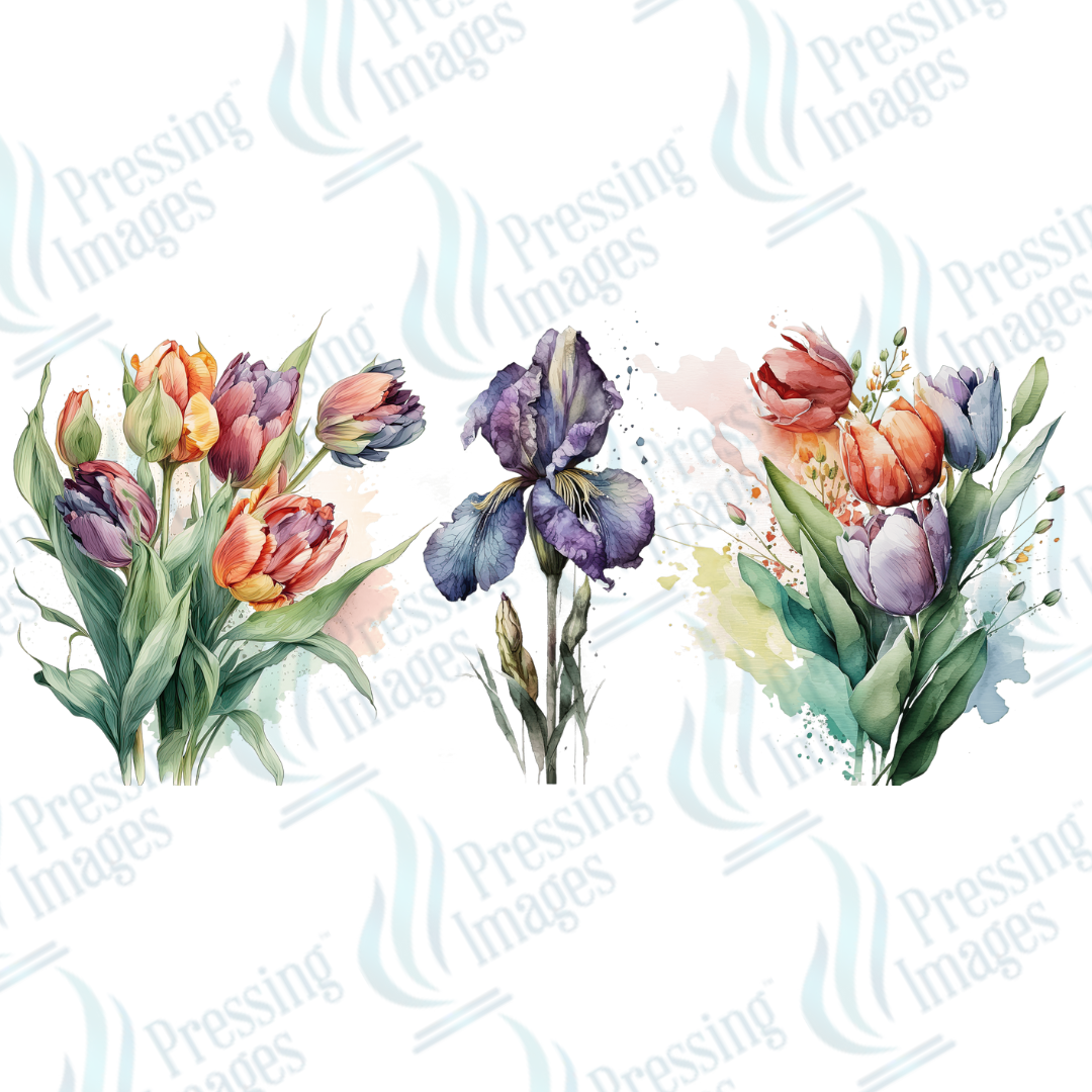 UVW 1349 Iris floral