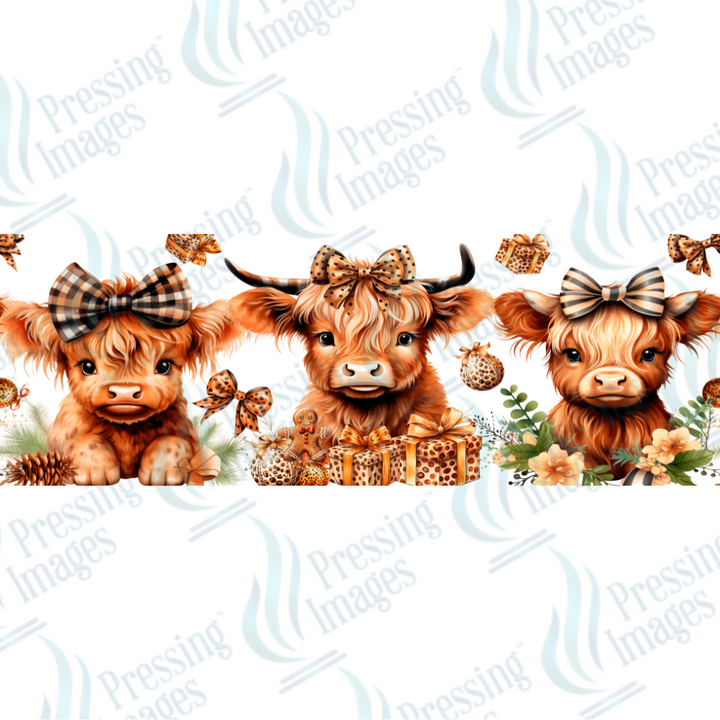 UVW 1636 Highland cow gifts