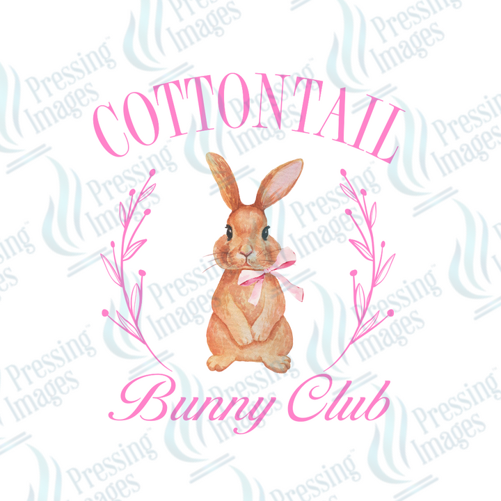 DTF 2064 Cottontail