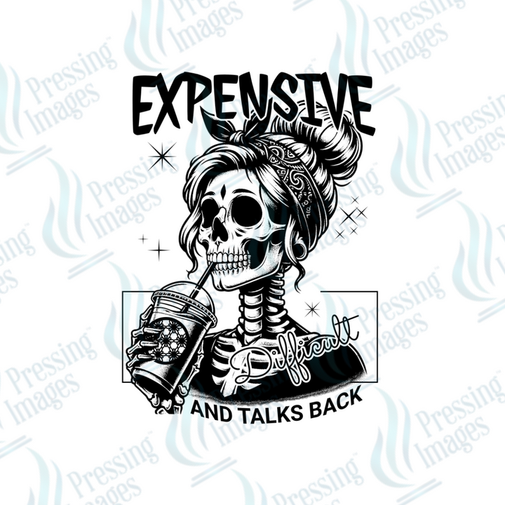 DTF 2406 Expensive and talks back