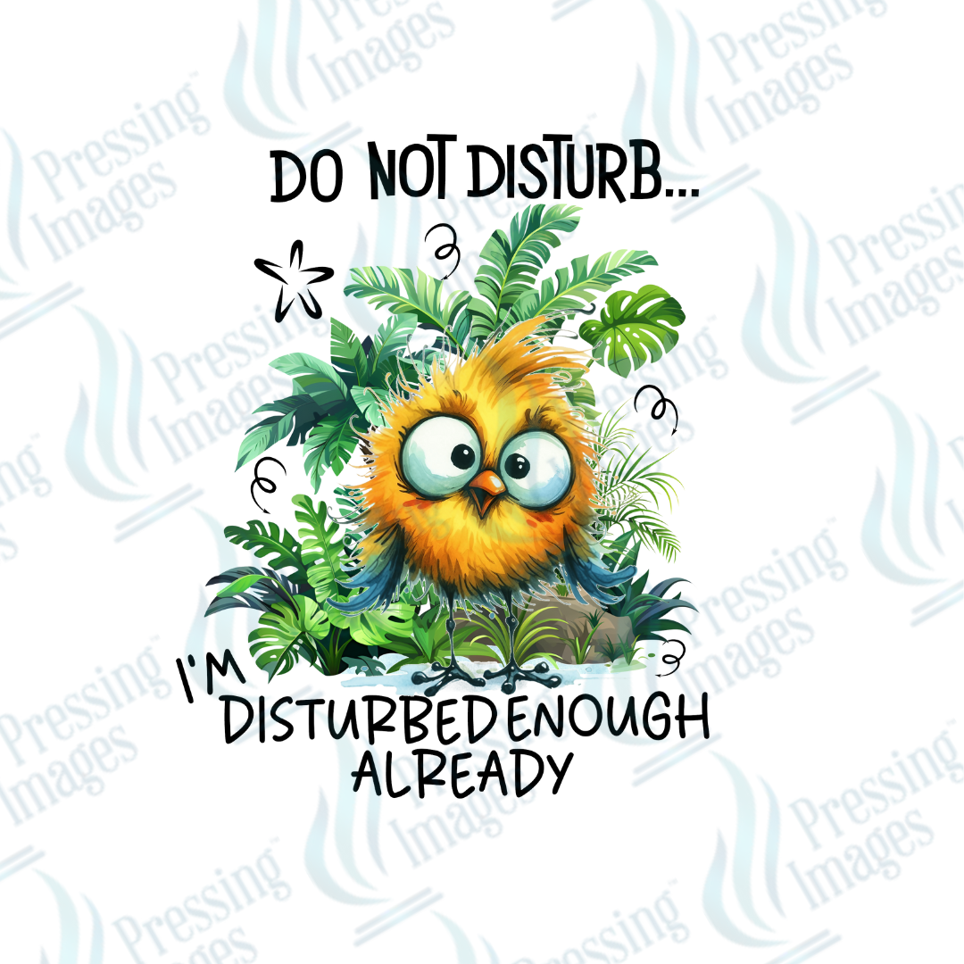 DTF 2504 Do not disturb