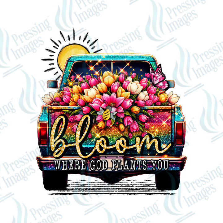 DTF 2605 Bloom truck