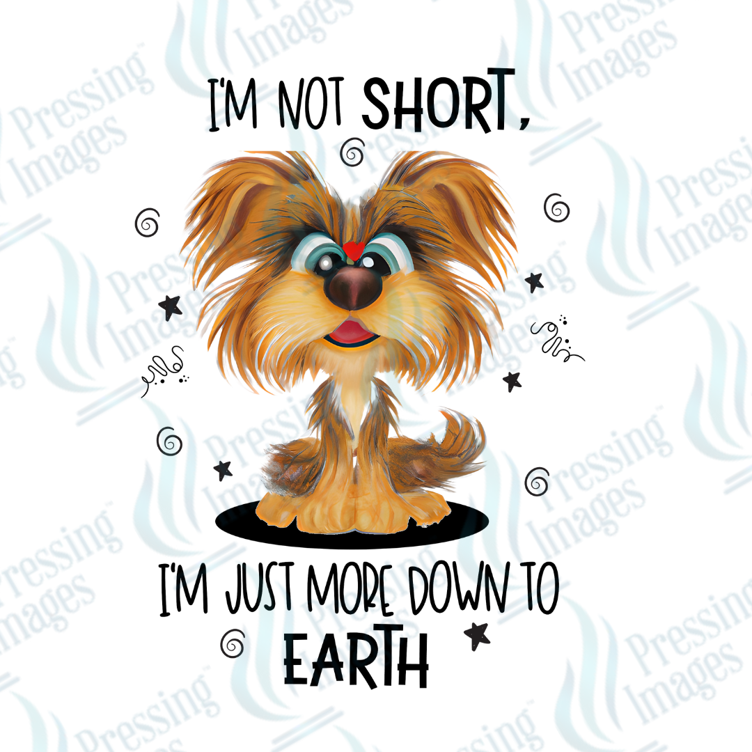 Decal SB 2523 I'm not short