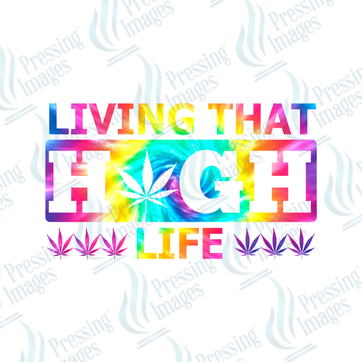 DTF 2314 Living the high life