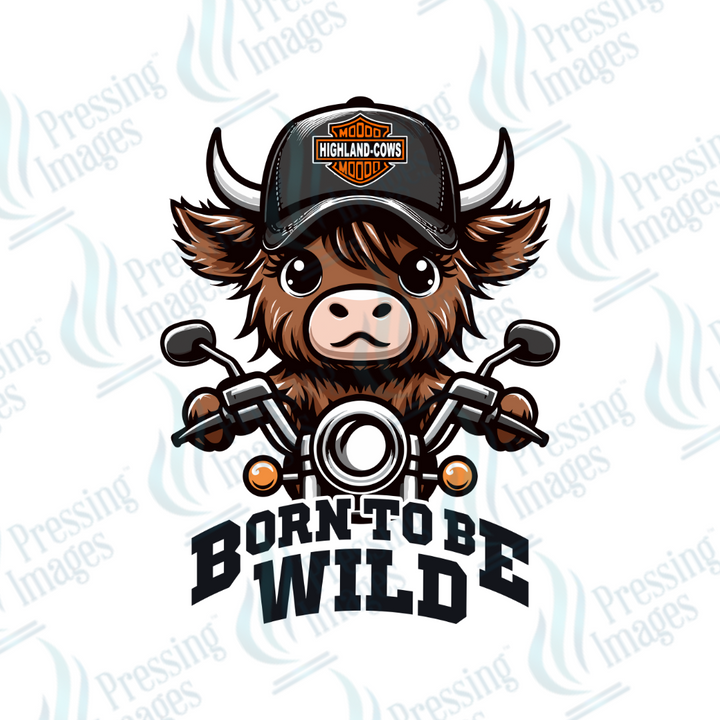 DTF 2348 Born to be wild BOY