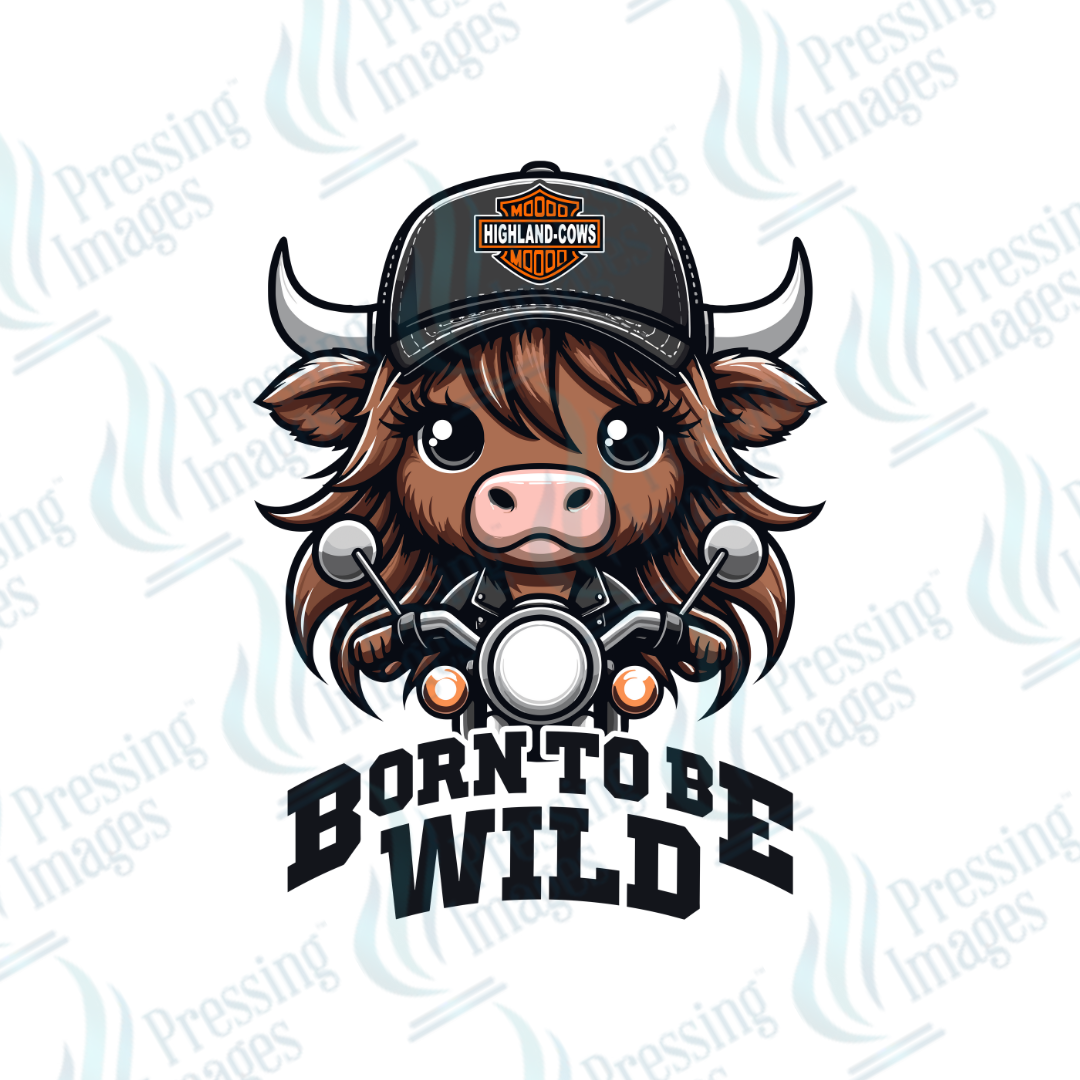 DTF 2349 Born to be wild GIRL