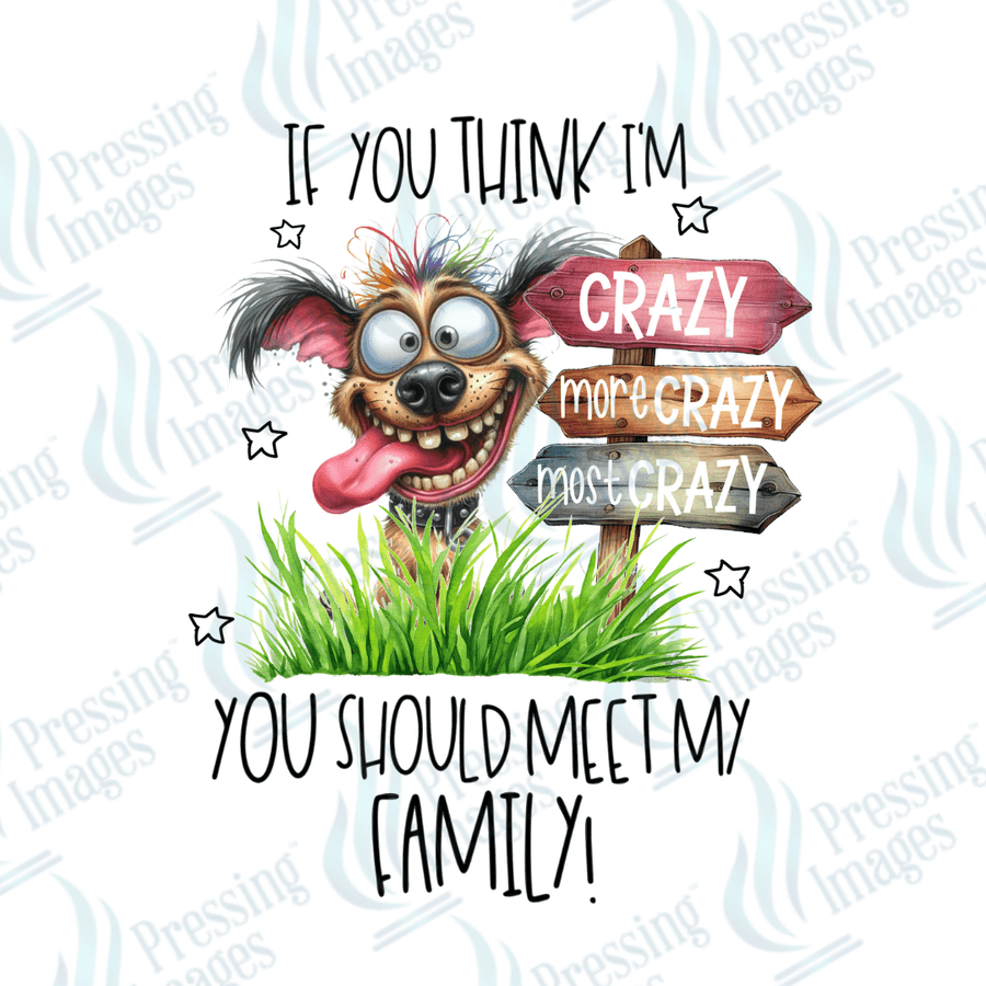 Decal SB 2498 If you think I'm crazy you should meet my family - Pressing Images