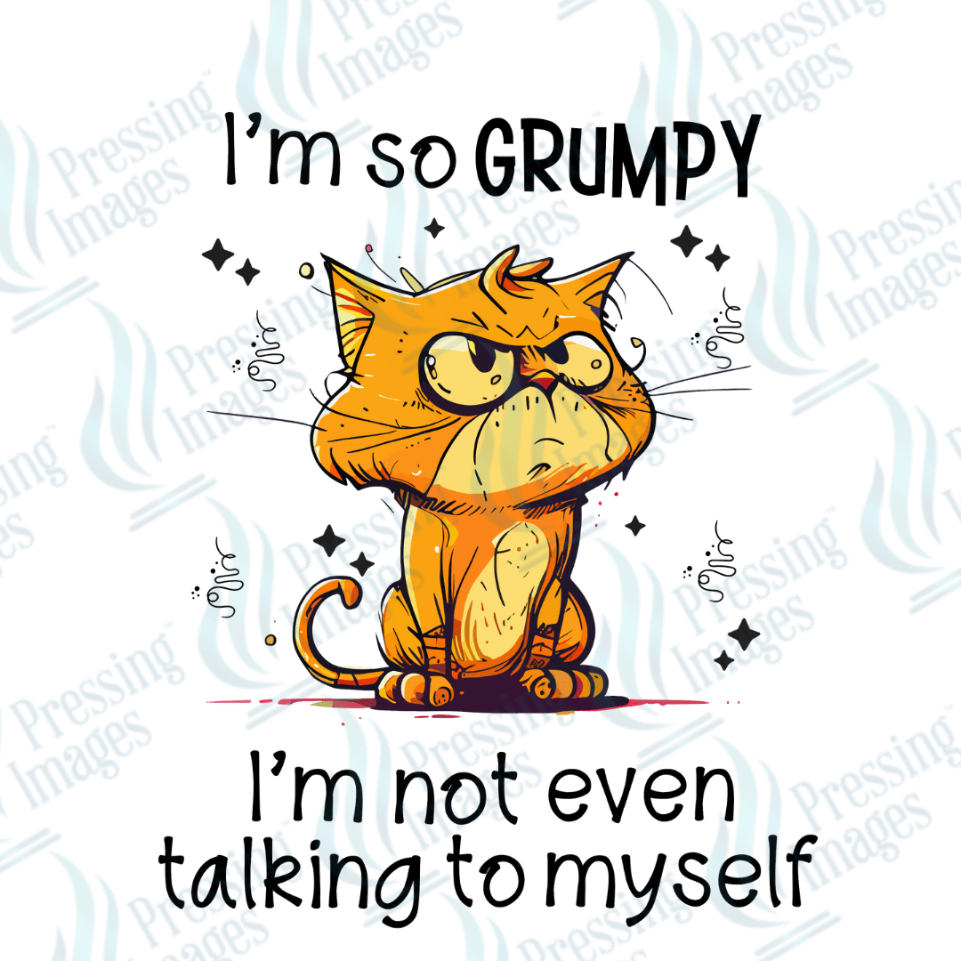 Decal SB 2500 I'm so grumpy - Pressing Images