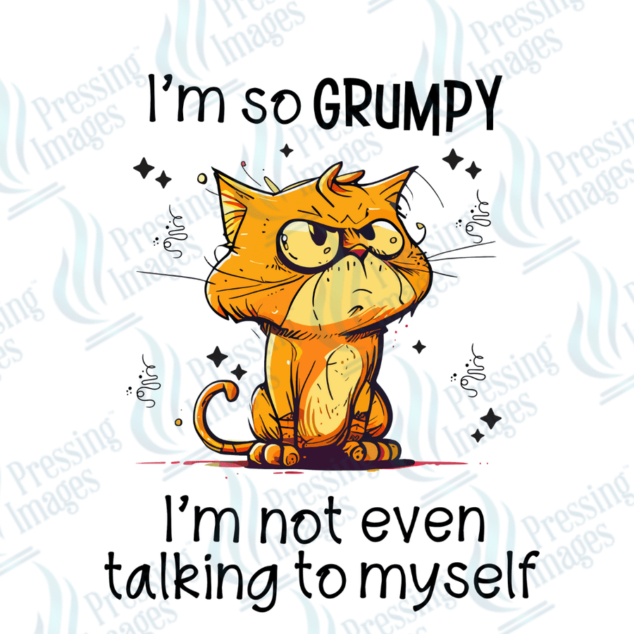 Decal SB 2500 I'm so grumpy - Pressing Images