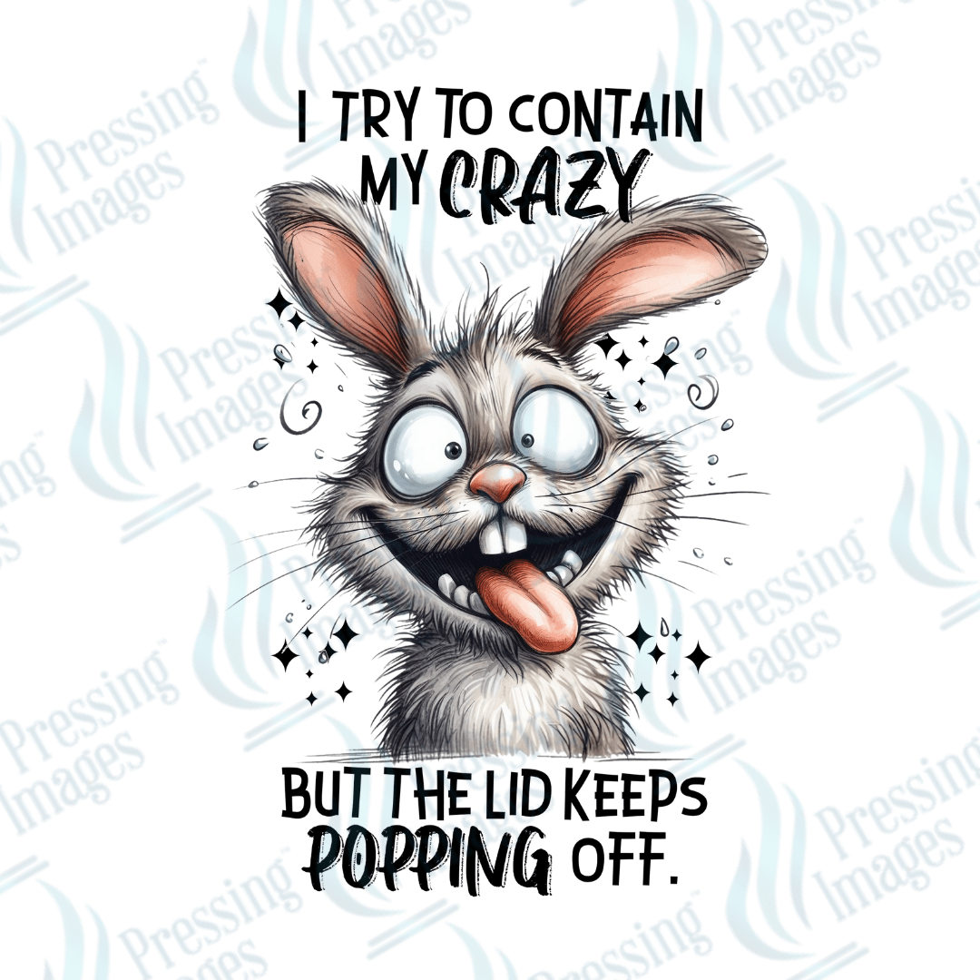 Decal SB 2506 I try to contain the crazy - Pressing Images