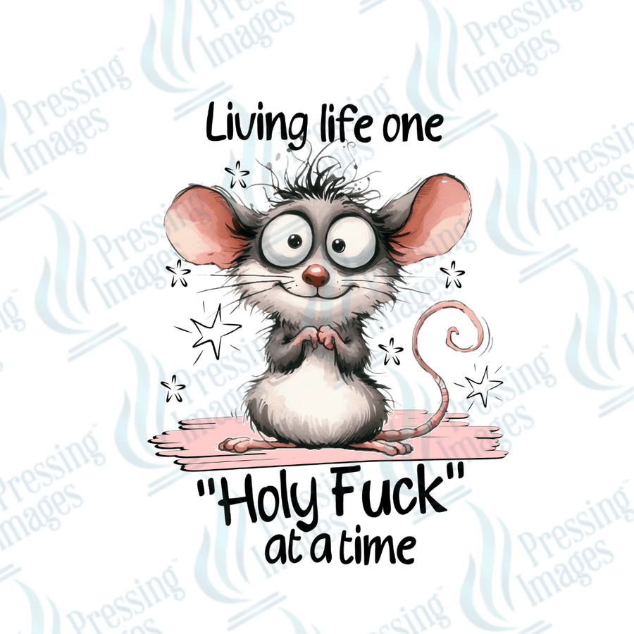 Decal SB 2509 Living life one holy fuck at a time - Pressing Images