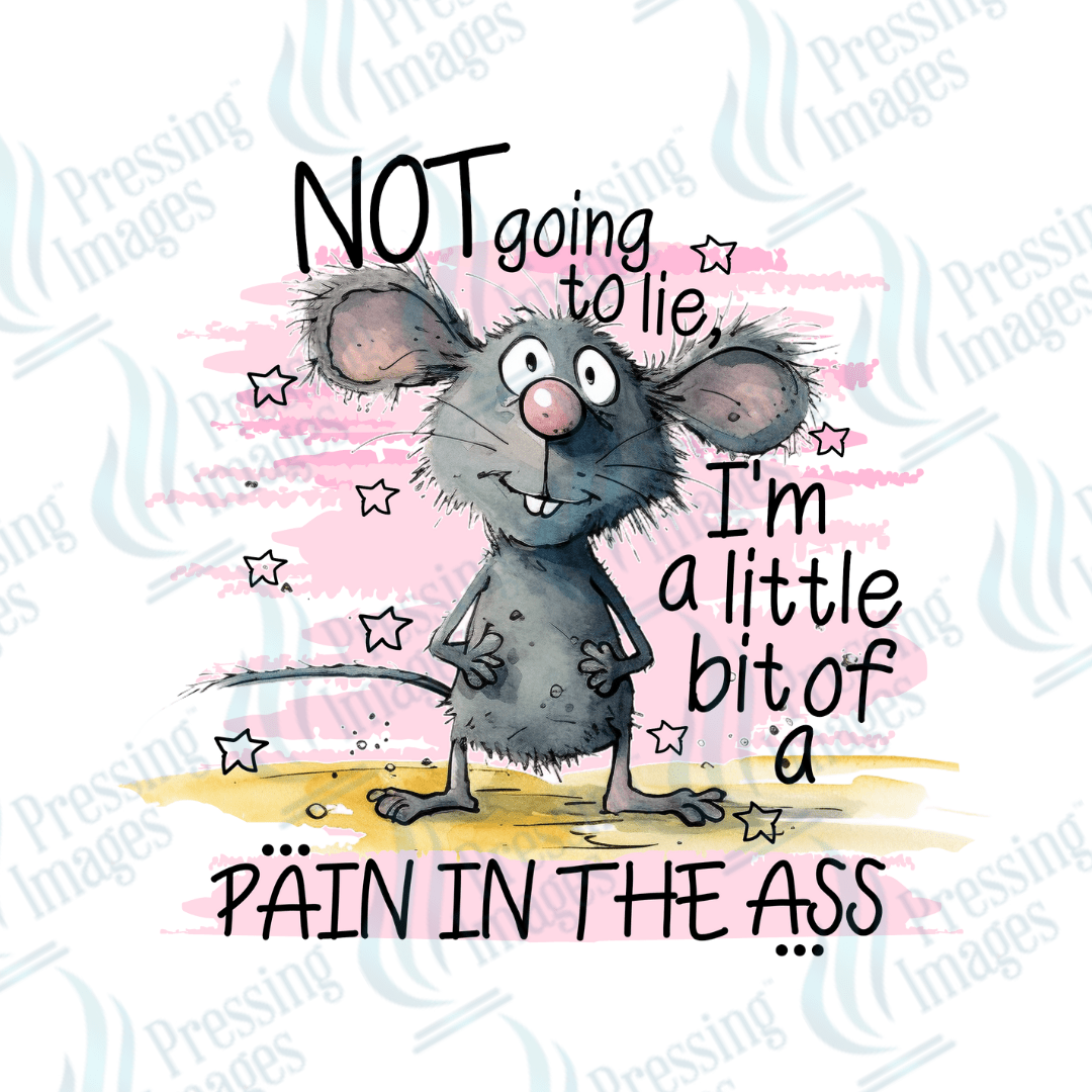 Decal SB 2510 Not going to lie - Pressing Images